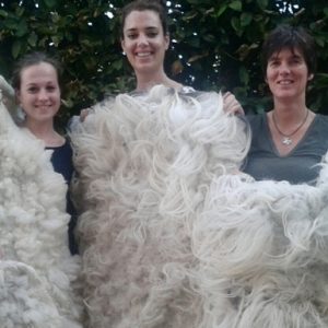 Workshop vachtvilten zachtaardig