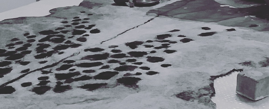 vacht vilt light workshop koe vilt