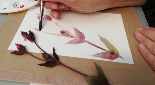 Workshop Botanisch Tekenen