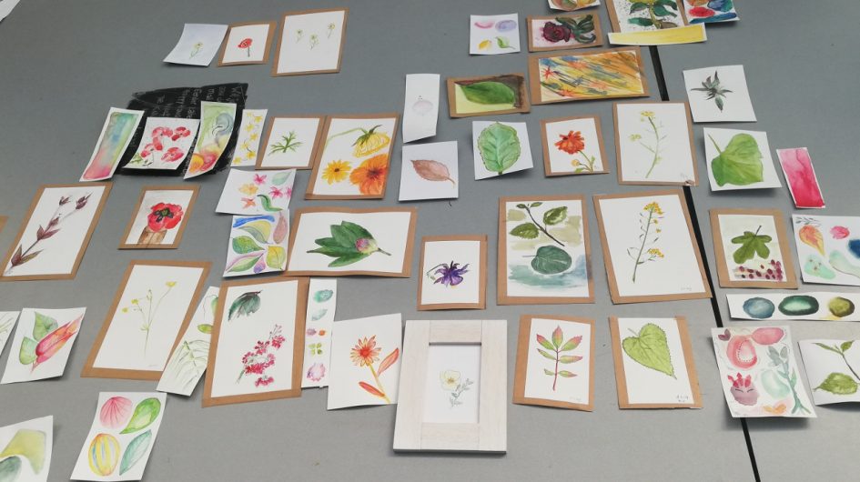 Workshop Botanisch Tekenen