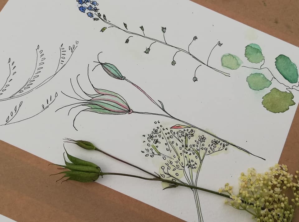 botanisch tekenen amsterdam