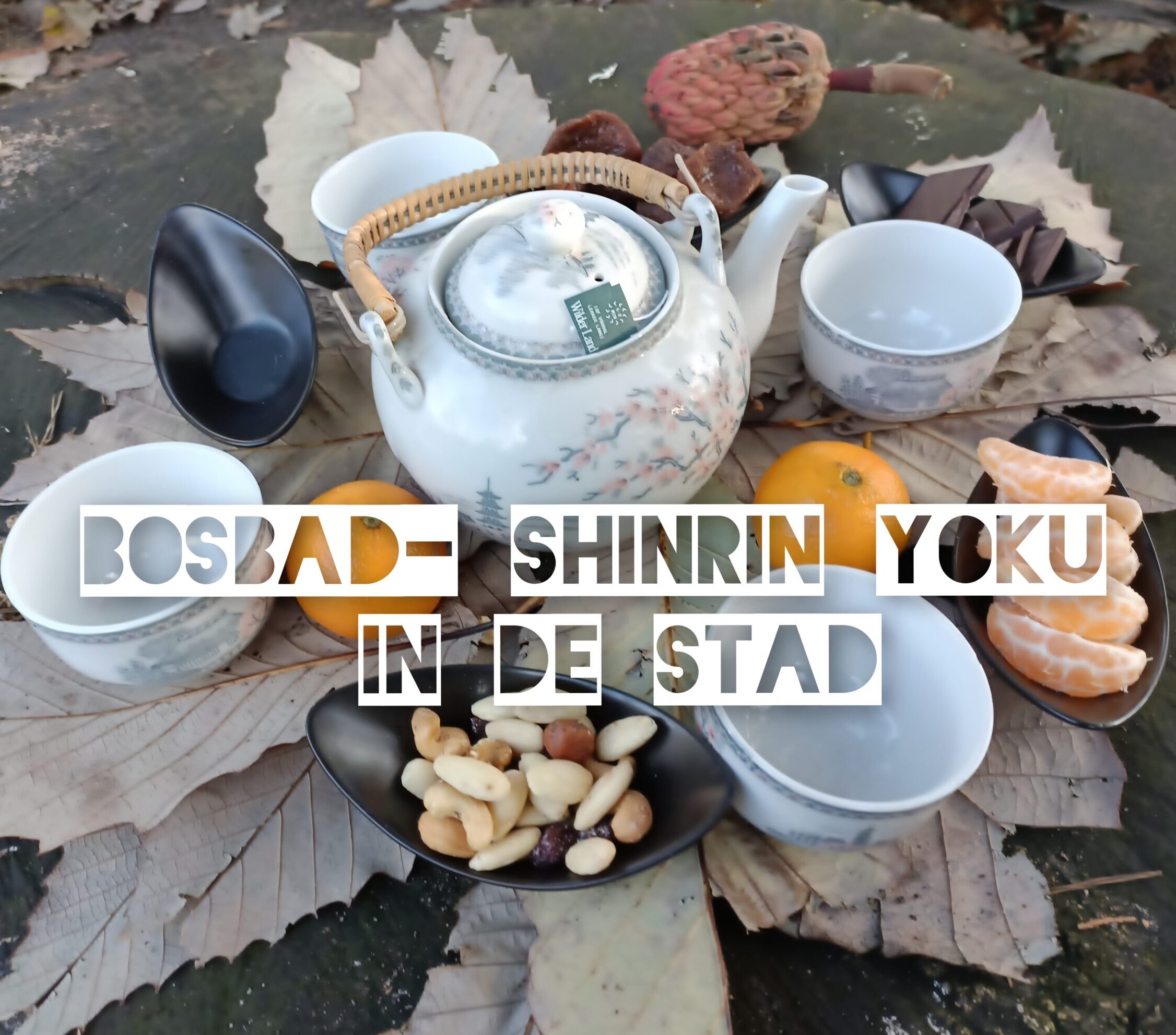 bosbaden in amsterdam